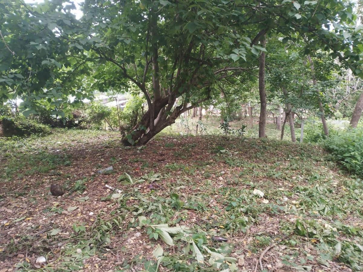 Oaxaca, Santa María Huatulco
