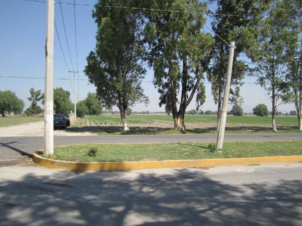 Edo. de México, Jaltenco, al poniente del Aifa