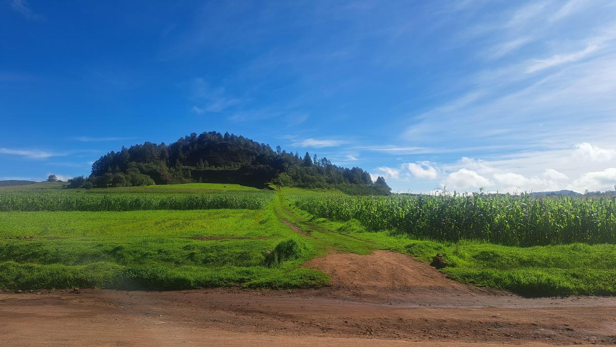 Se vende Terreno en Chignahuapan