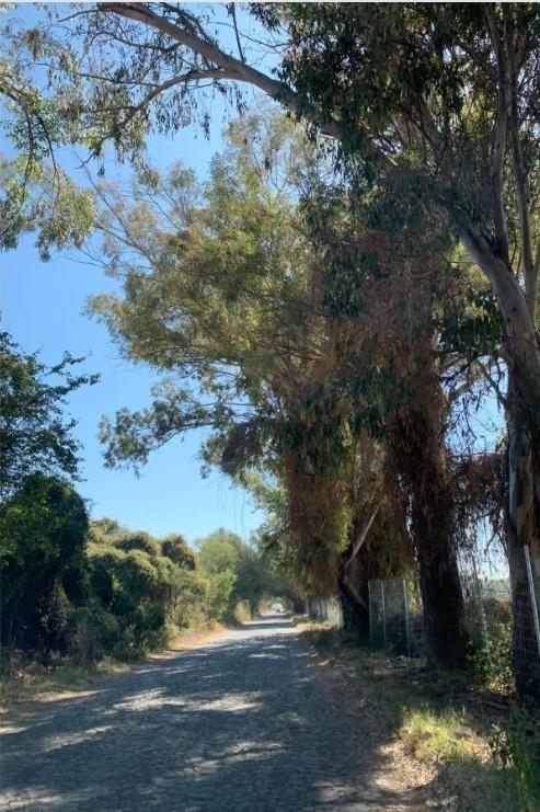 Se vende Lote en Chapala