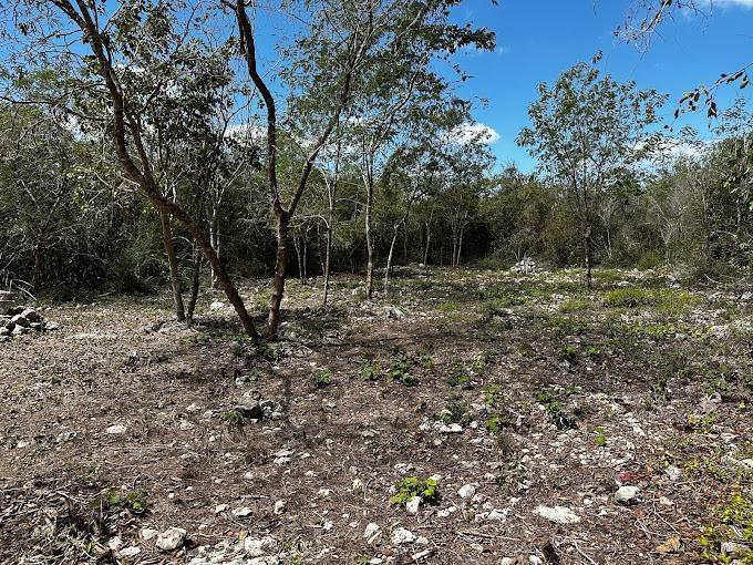 Se vende Terreno en Dzidzantún