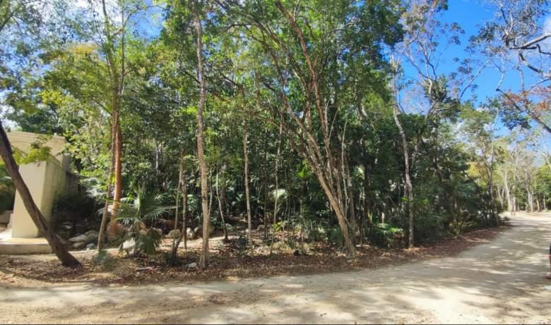 Quintana Roo, Tulum  Terreno en Venta Holistika tulum