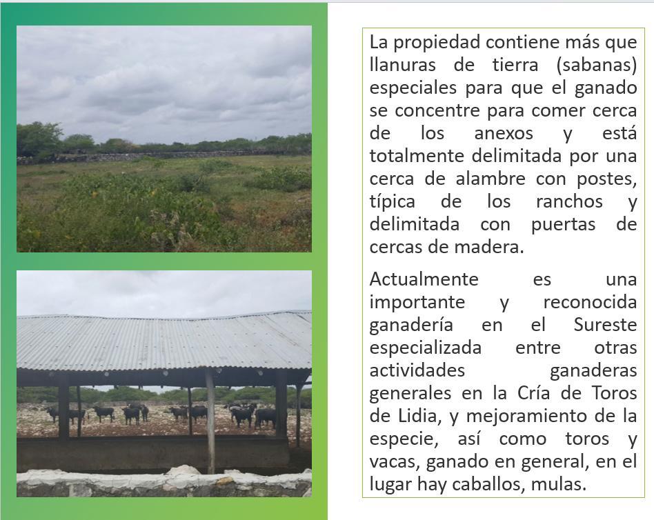 Rancho en operación 1,314 hectáreas