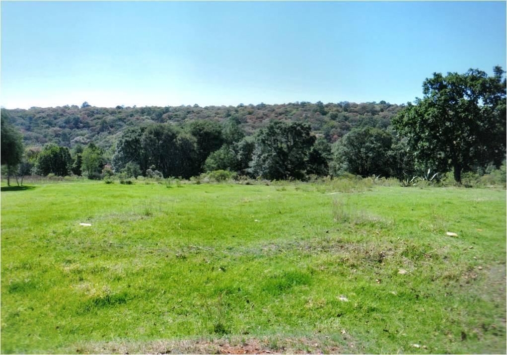 Amplio Terreno Campestre, ubicado en Nicolás Romero, Edo Mex