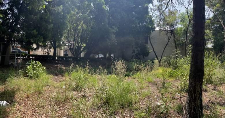 Terreno En Venta En La Florida, Álvaro Obregón 