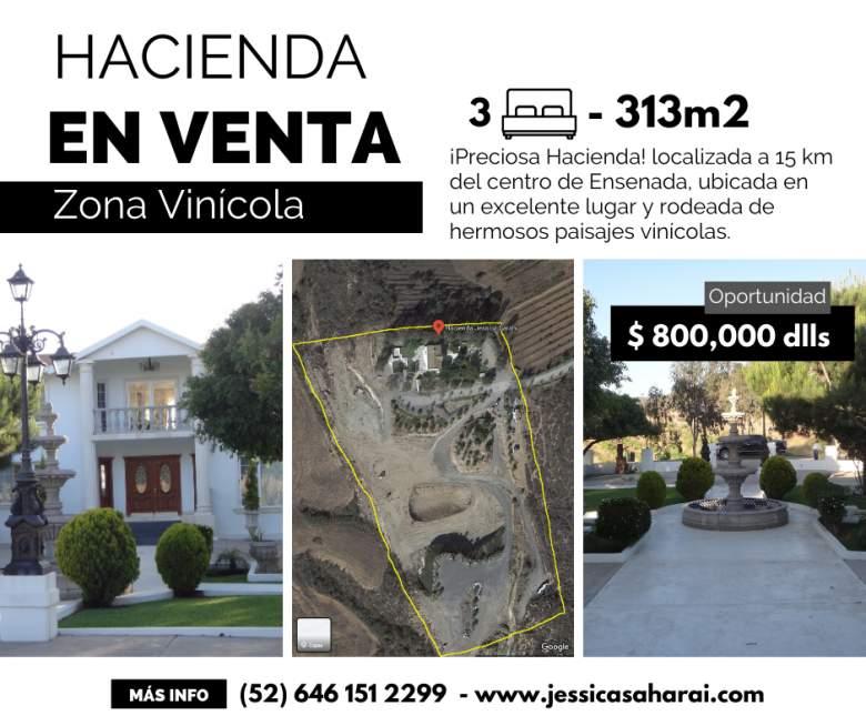 Hacienda Jessica Saharai en zona vinícola.