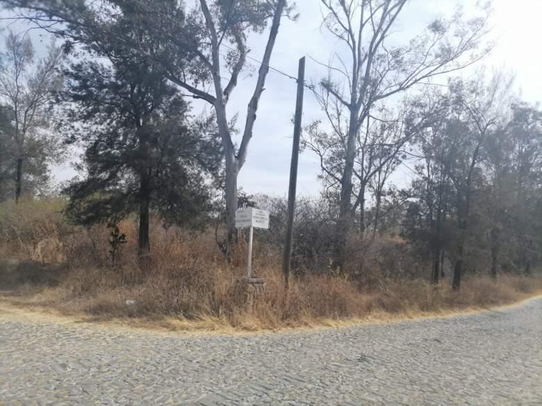 Jalisco, Ixtlahuacán de los Membrillos