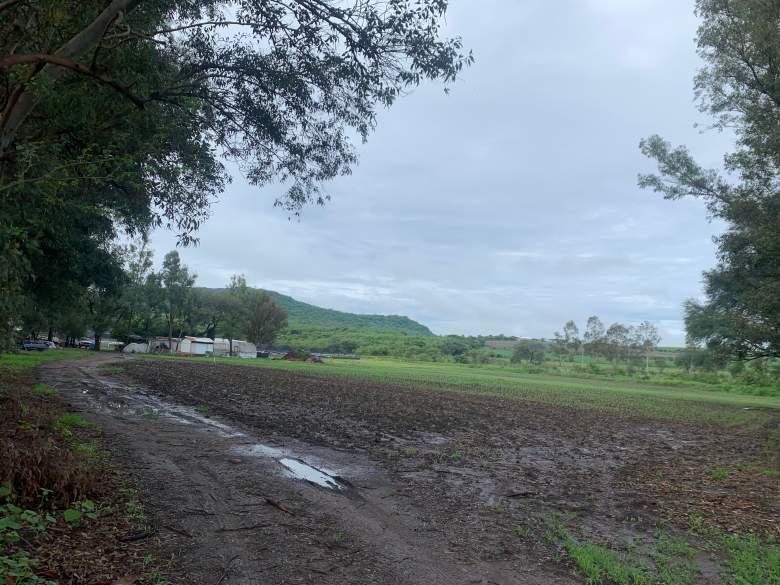 Jalisco, Tala Vendo 4 Ha. con agua