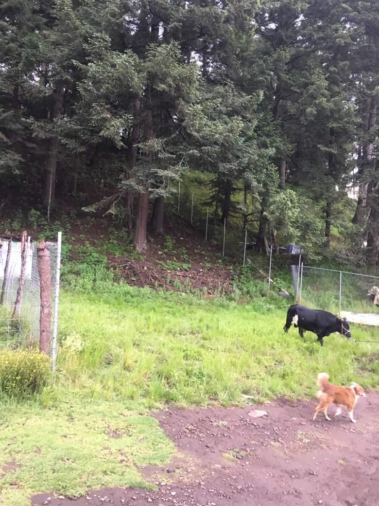 Increíble opción para adquirir un terreno hermoso