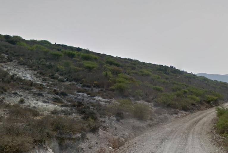 Hidalgo, Metztitlán