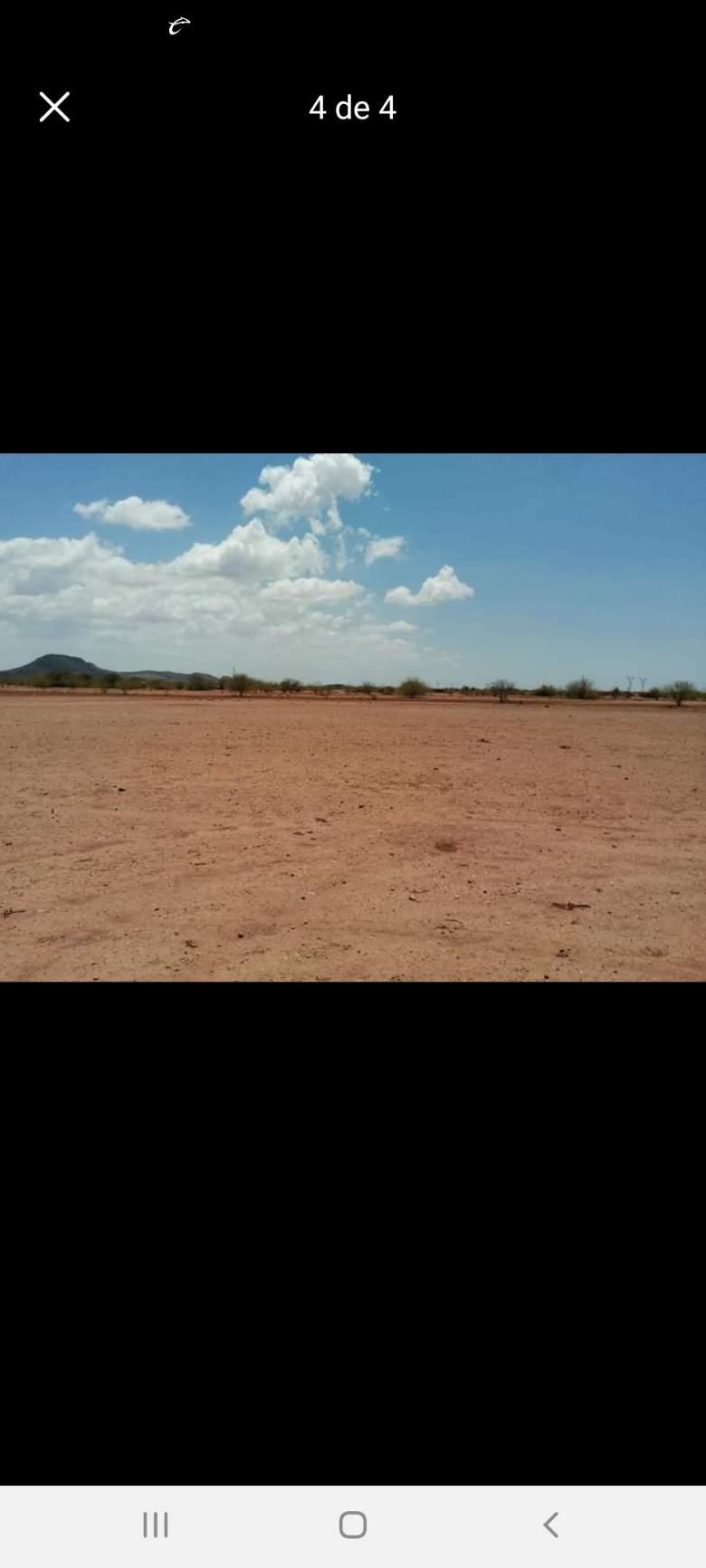 Sonora, Cajeme