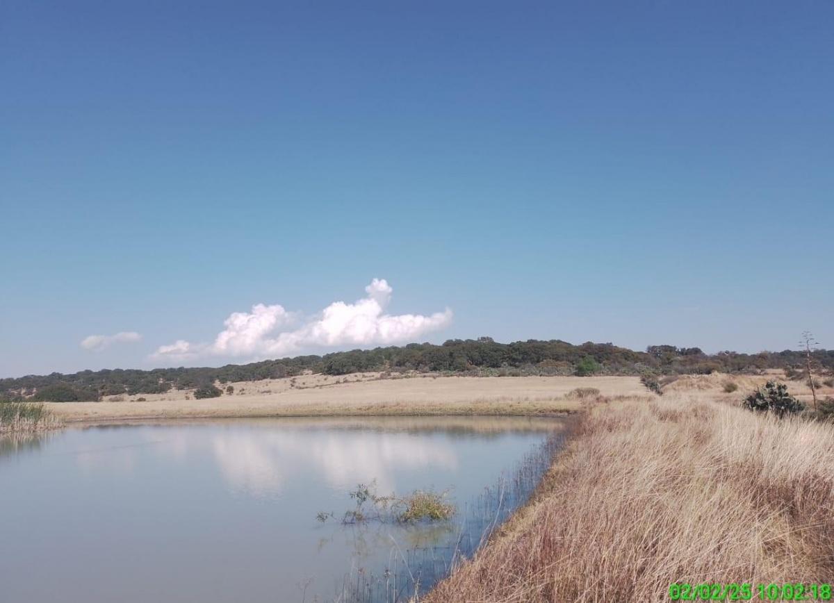 Se vende terreno Agrícola en Acambay