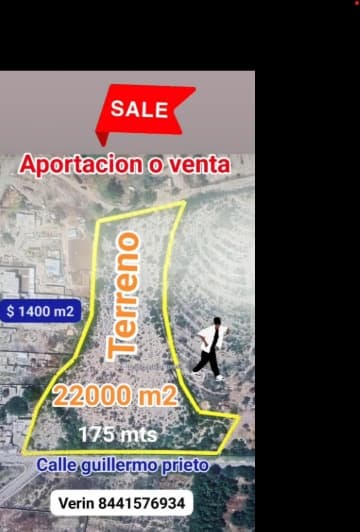 calle GUILLERMO PRIETO, Jardín, Arteaga