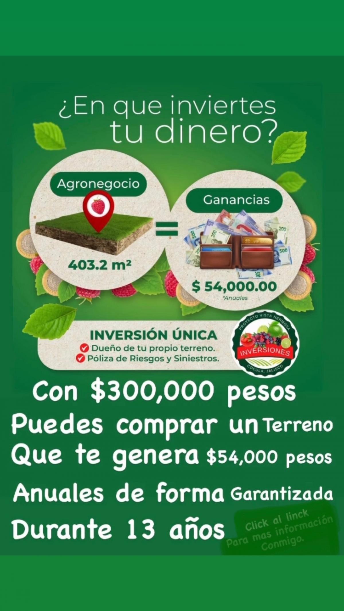 Terrenos para invertir en cocula jalisco Roi 18% anual
