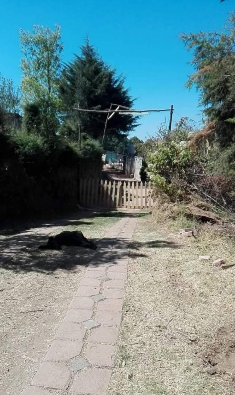 Oportunidad terreno san Pedro Zictepec Tenango Tenancingo 