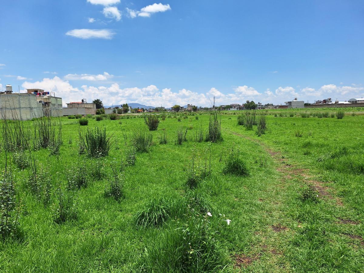 Se vende Terreno en Toluca por Areopuerto a $2,000 x m²