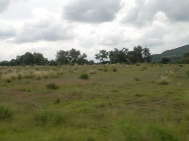 Hidalgo, Molango de Escamilla