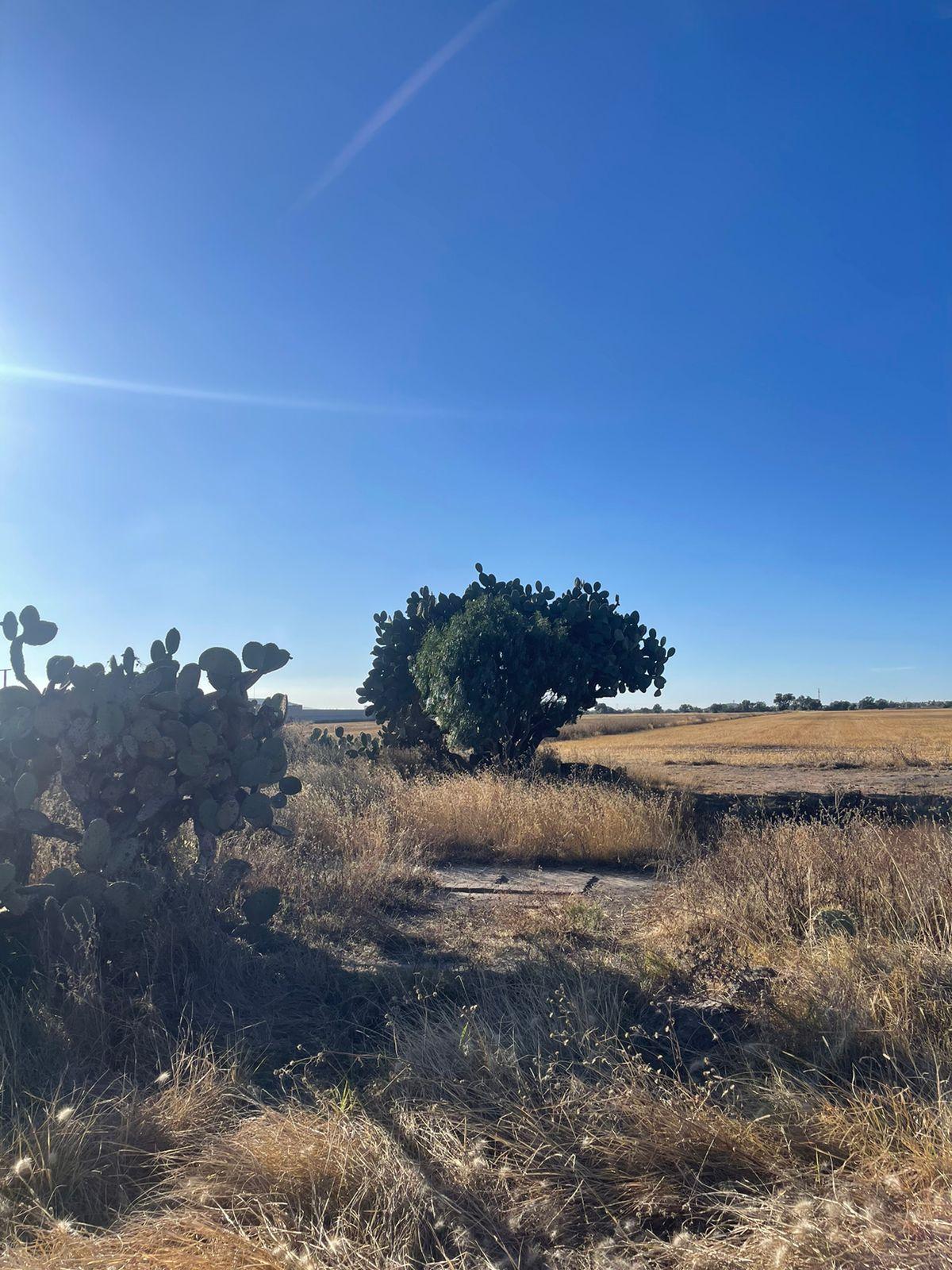 Venta de terrenos