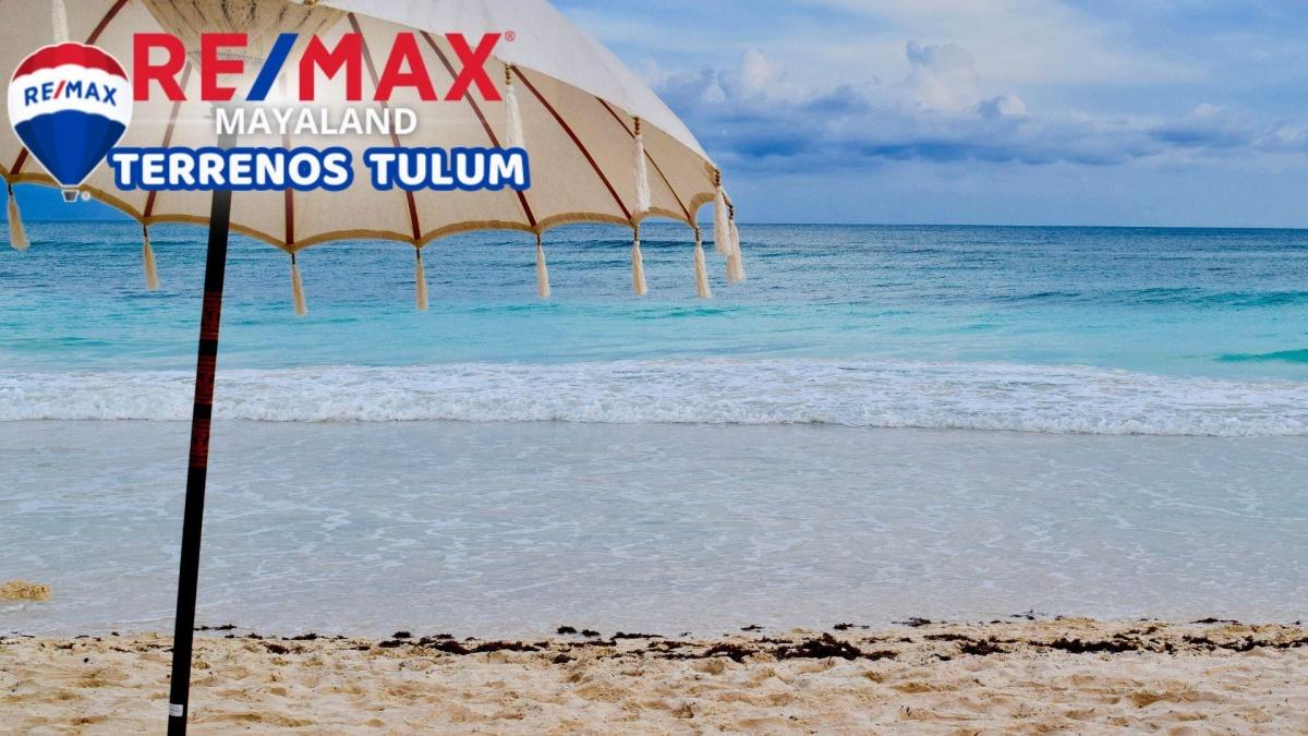 3200 m2 en la zona hotelera de tulum con construccion 
