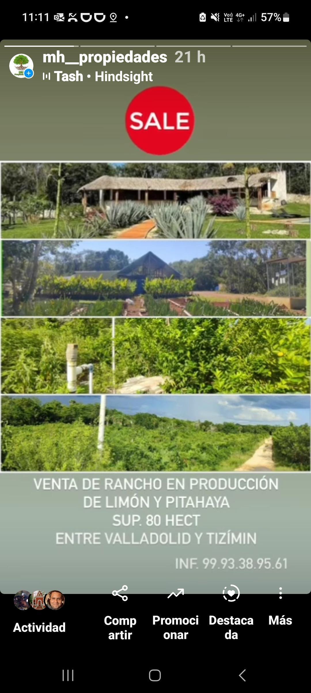 Yucatán, Temozón