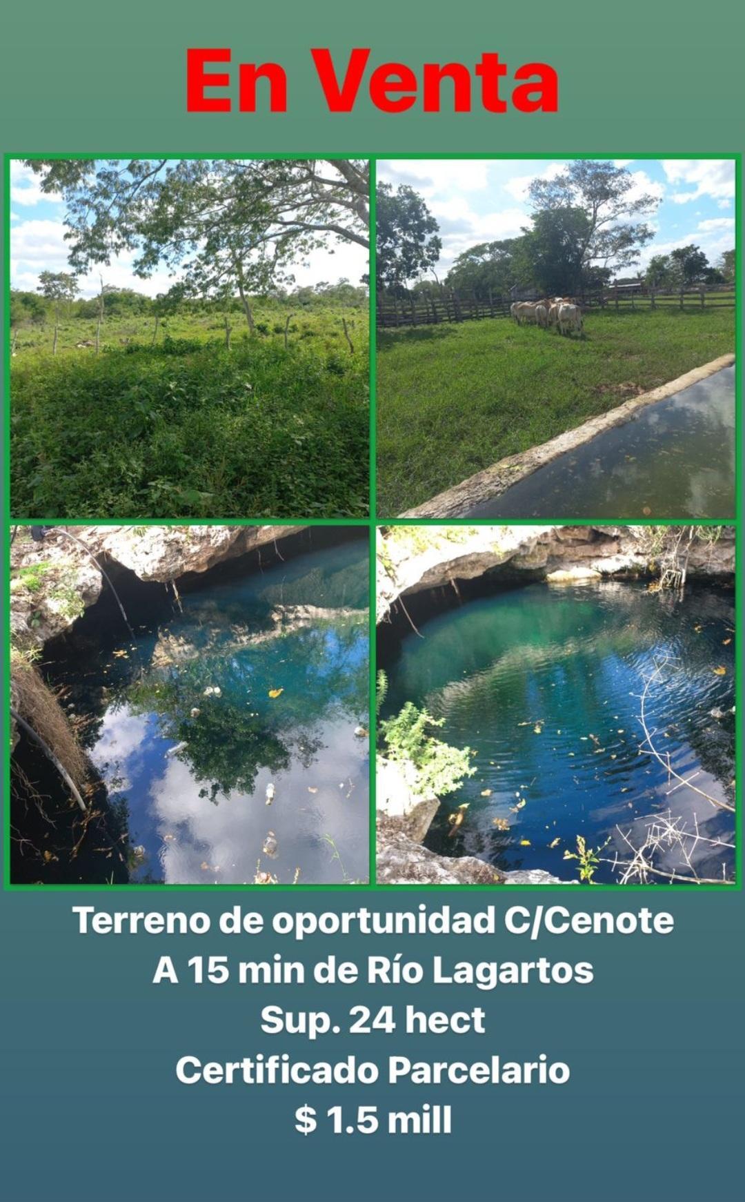 Yucatán, Río Lagartos