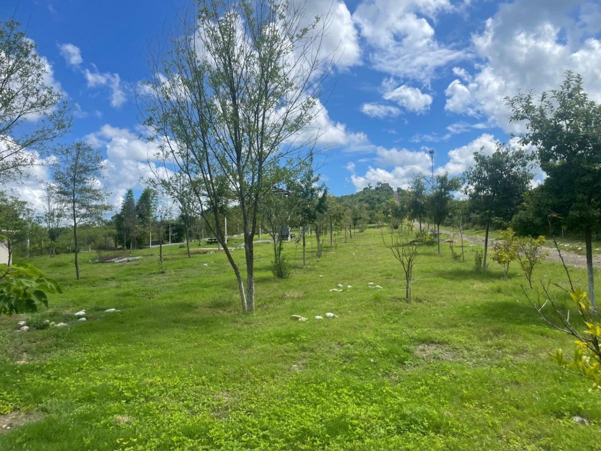 Se vende Terreno en Montemorelos
