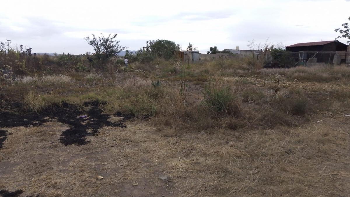 Se vende Lote en El Arenal