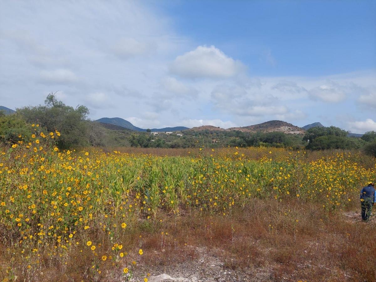 Hidalgo, Zimapán
