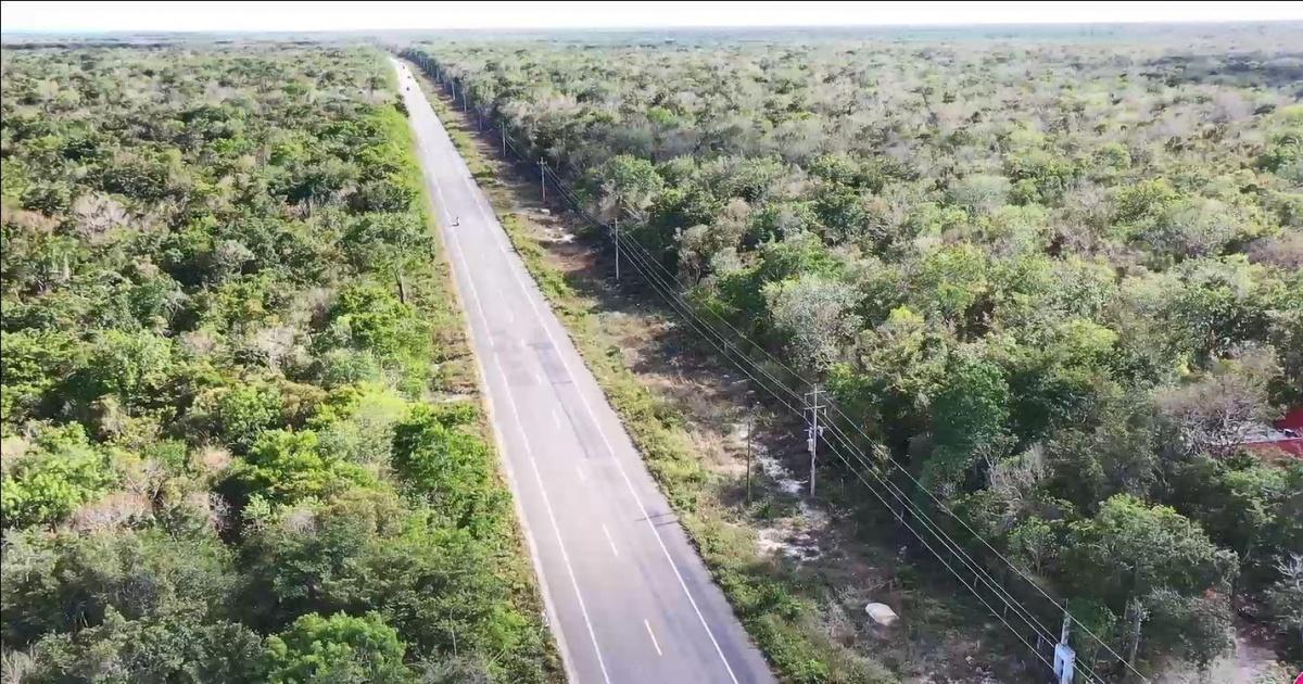 Terreno con 100m  frente carretero –  Aeropuerto  Tulum 