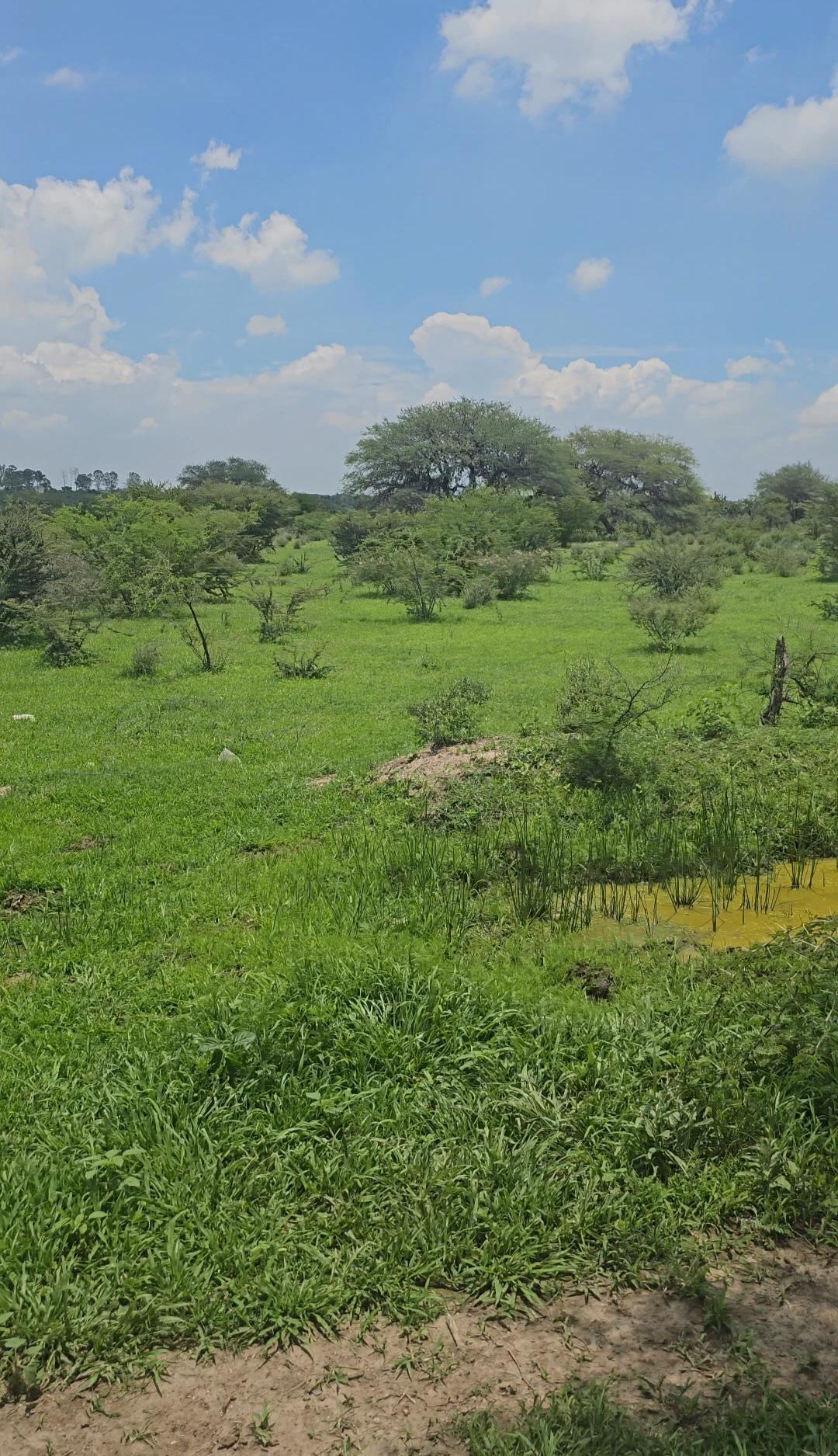Se vende Lote en Lagos de Moreno