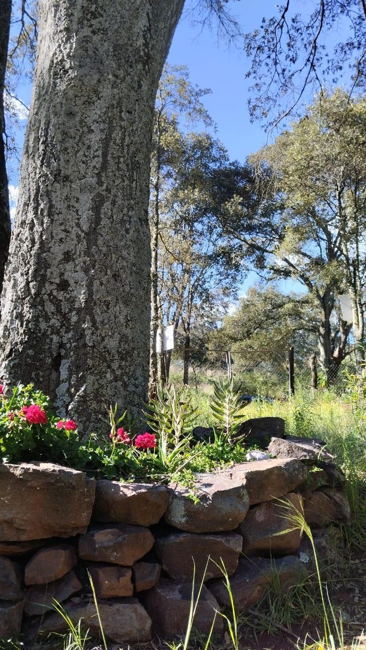 Se vende Terreno Campestre en Jilotepec