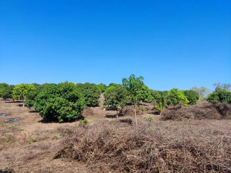 Guerrero, Acapulco de Juárez