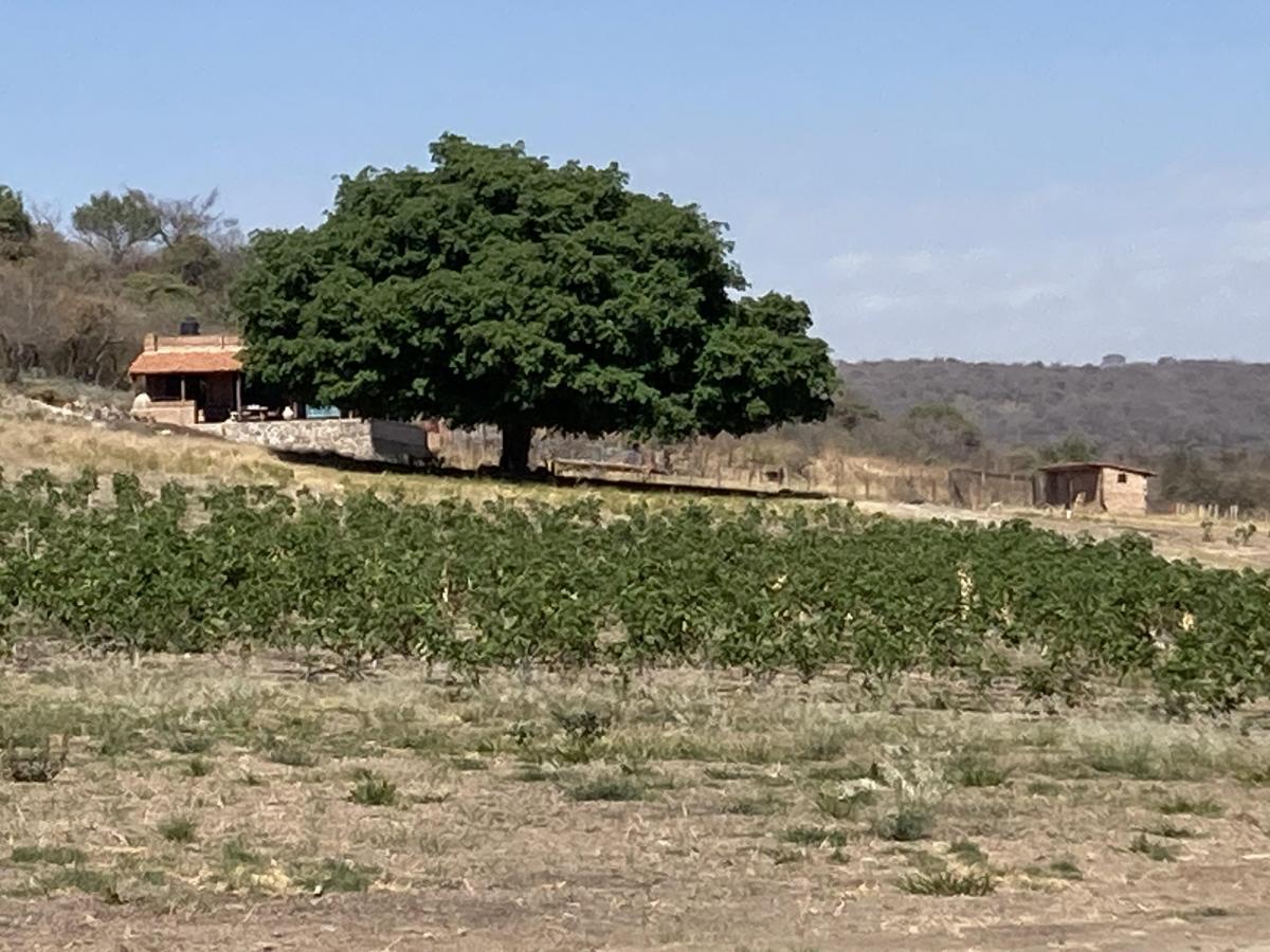 Se vende Rancho mágico 