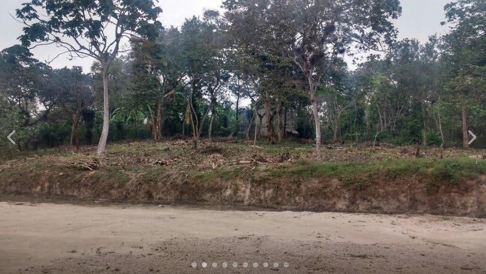 Terreno a 15 minutos de Xalapa, rustico