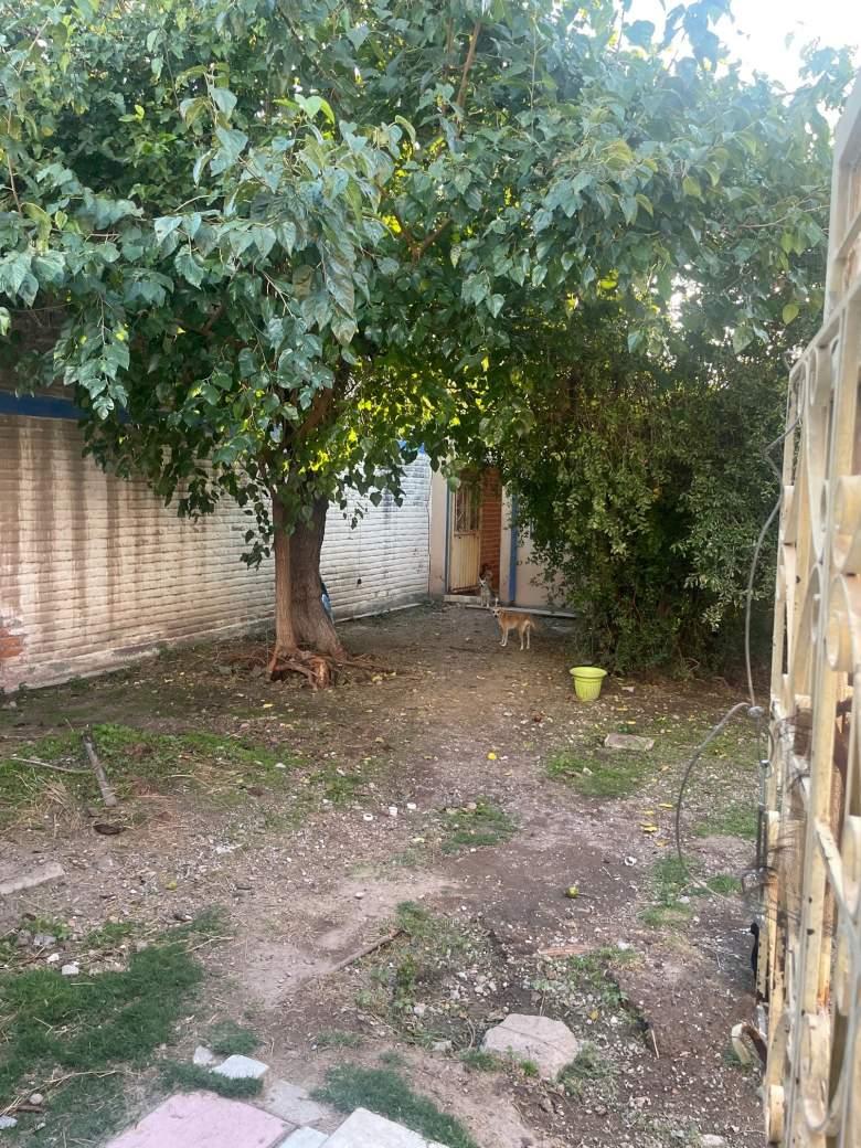 Terreno céntrico en excelente ubicación