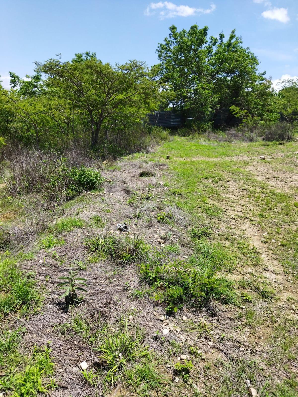 Terreno en Venta en San Lorenzo Cacaotepec, Oaxaca.