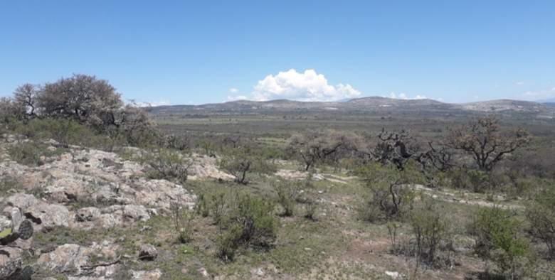 Oportunidad de Inversión en Huichapan Hidalgo ????