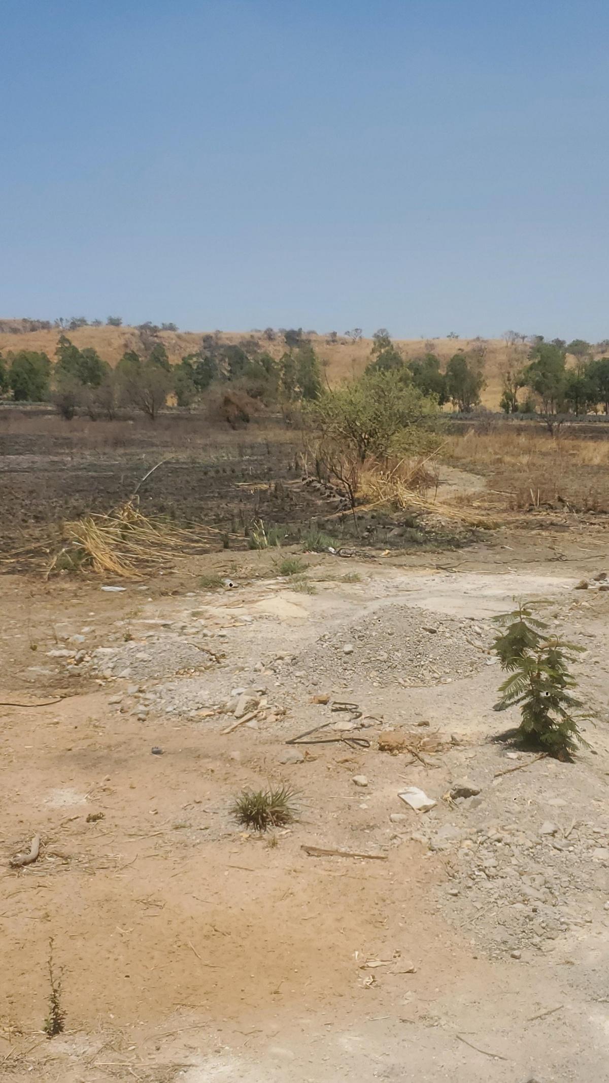 Oportunidad terreno Agropecuario