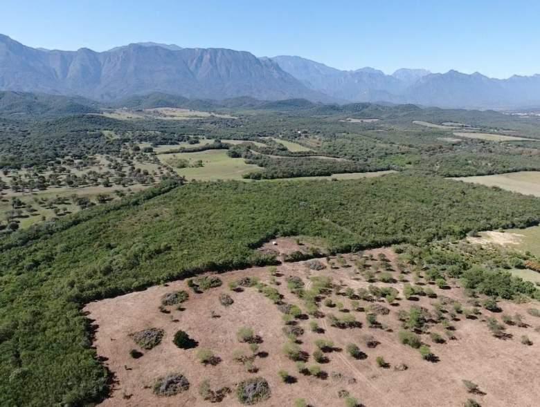 Nuevo León, Montemorelos