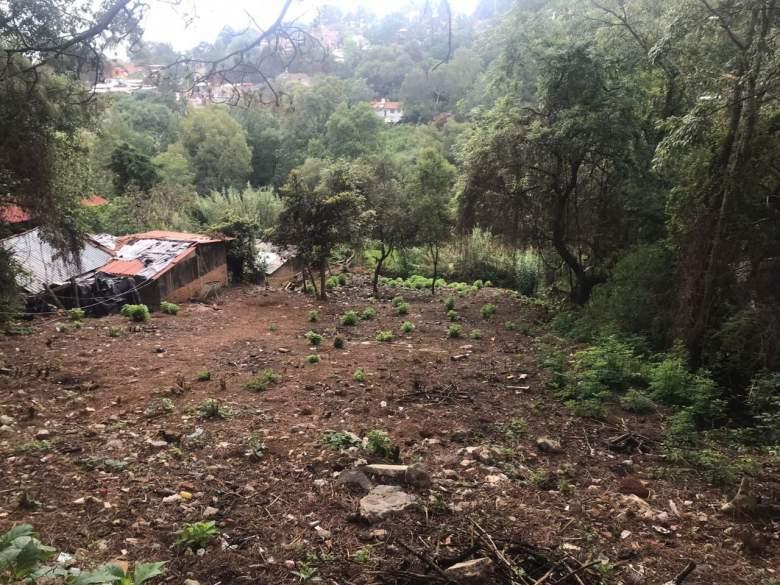 Jalisco, Mazamitla