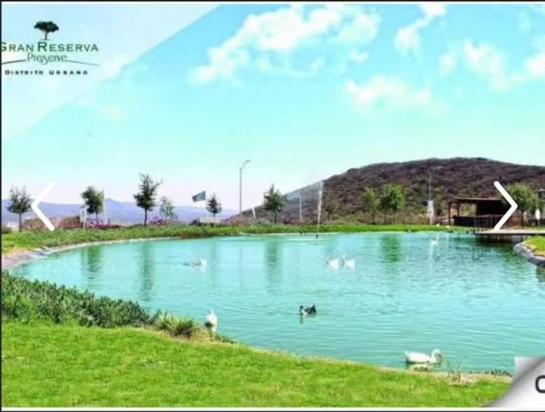 Gran reserva Preserve 