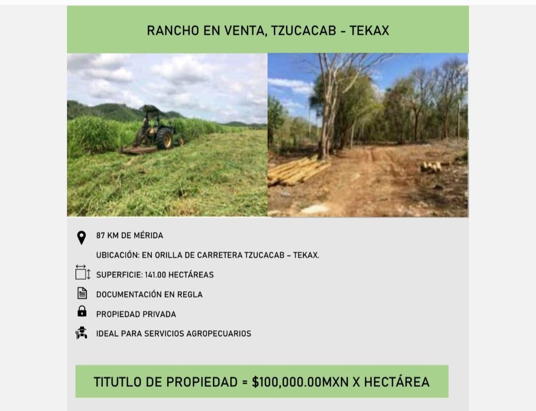 Yucatán, Tzucacab