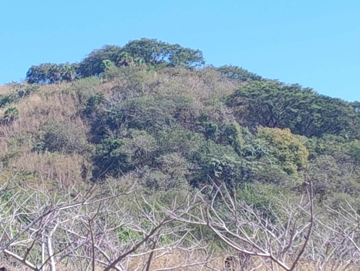 Vendo de remate terreno de 19 hectáreas 