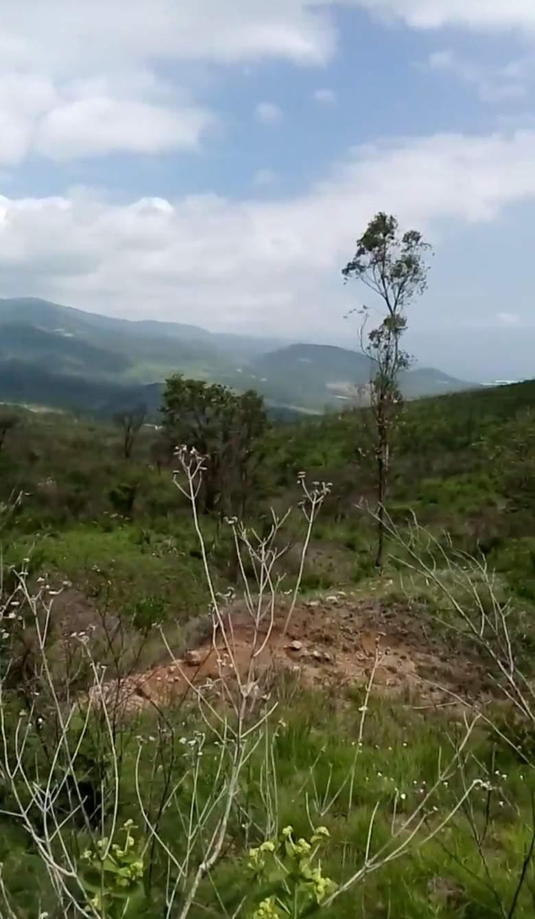 Jalisco, Sayula