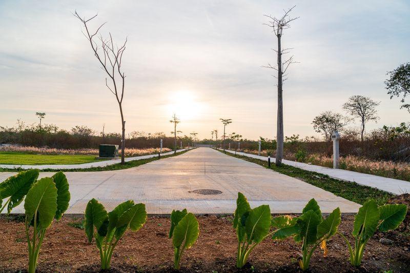 Terreno en venta en Cabo Norte privada Gaeta Mérida Yucatán