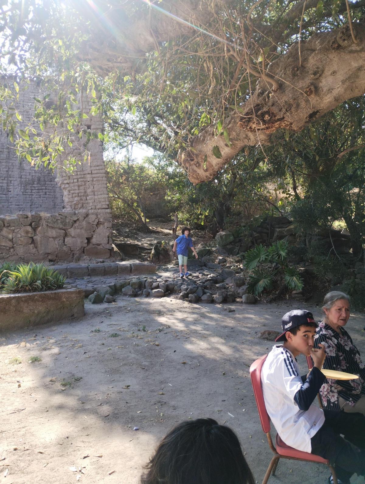 Se vende Inversión en Zapotlanejo
