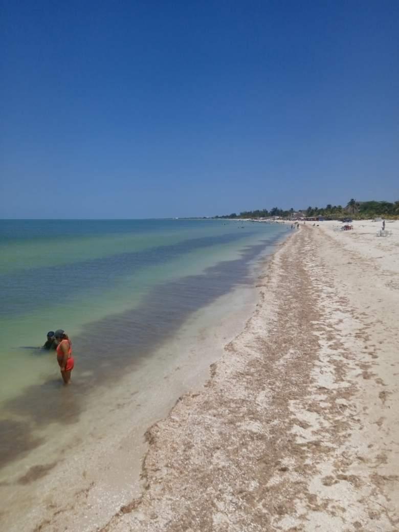 venta de terrenos de una hectárea en yucatan 