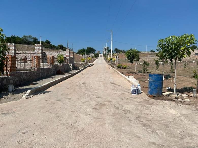 Edo. de México, Morelos