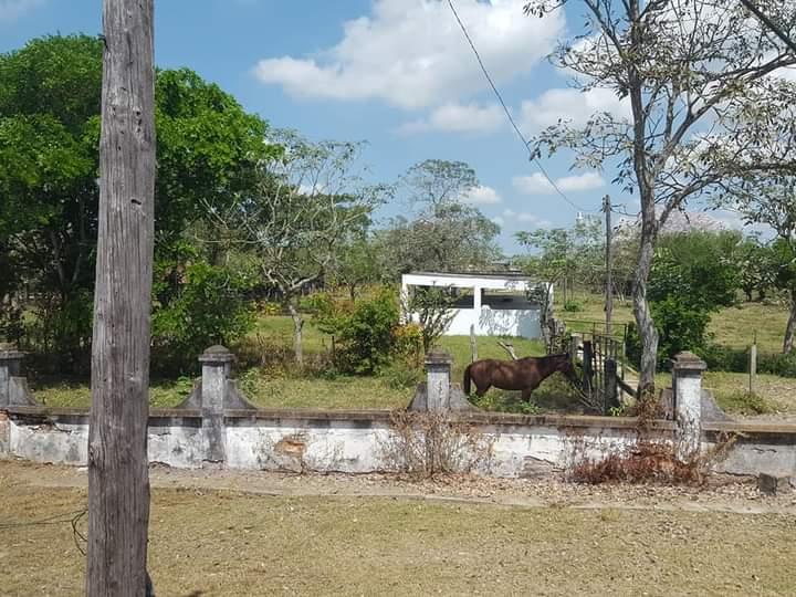 Veracruz, Cosamaloapan de Carpio