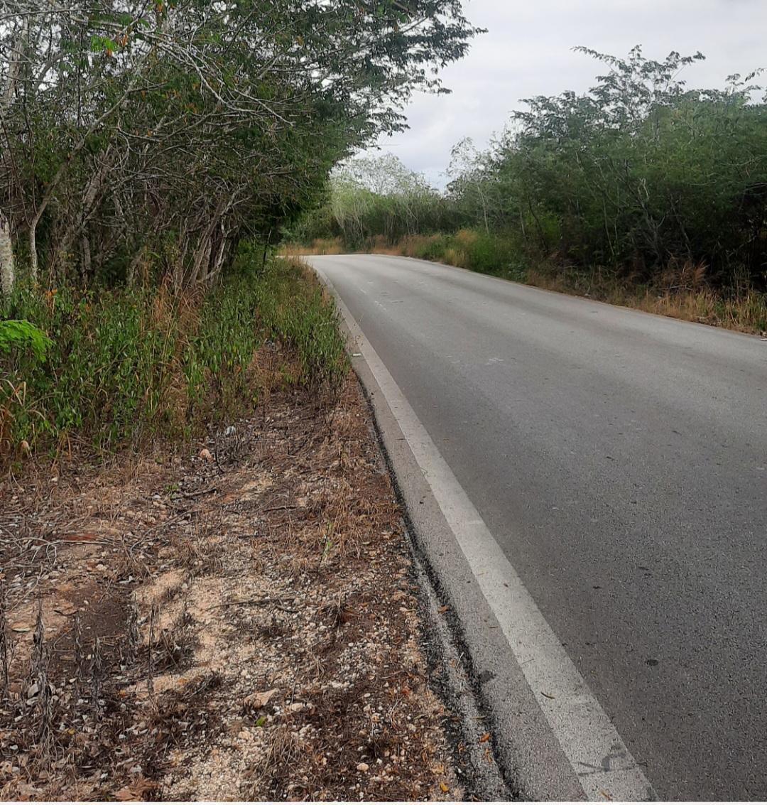 Yucatán, Seyé